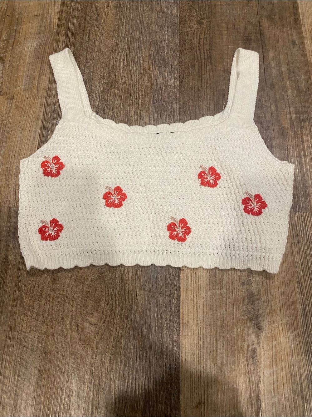 wild fable Cream Crochet Crop Top with Red Floral Embroidery